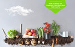 How to Make Tea Compost: The Tea Elixir for Plants