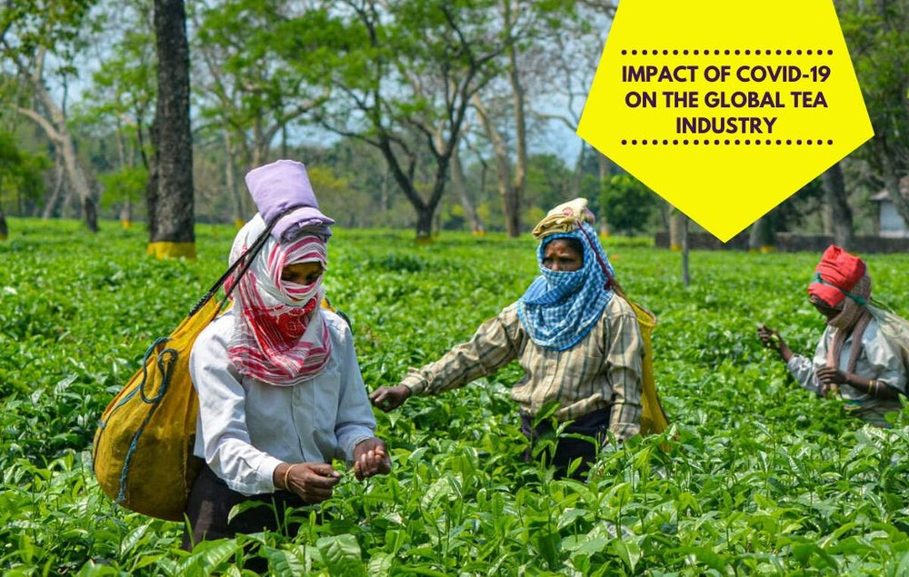 Impact of Covid-19 on The Global Tea Industry