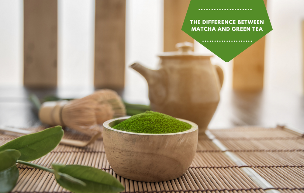 The difference between matcha and green tea!